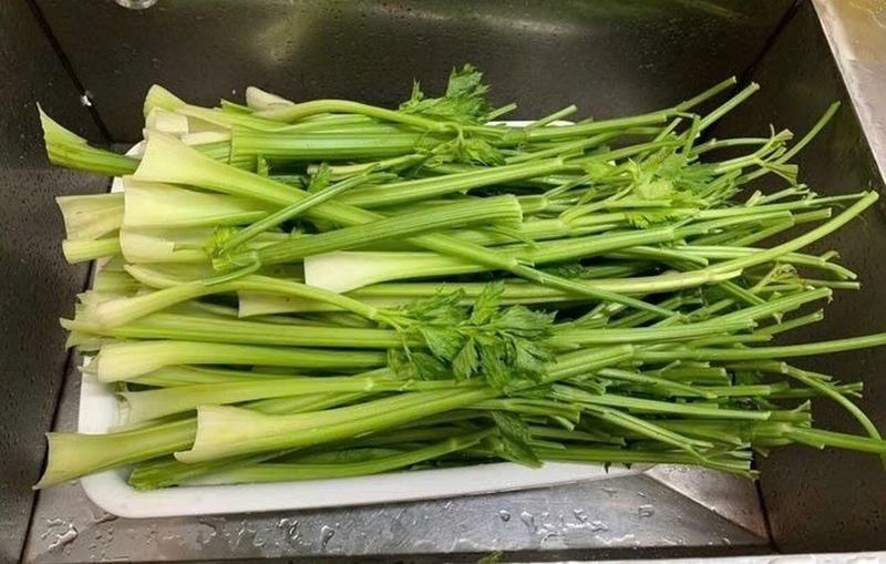 Súp cần tây kem mịn ảnh 3