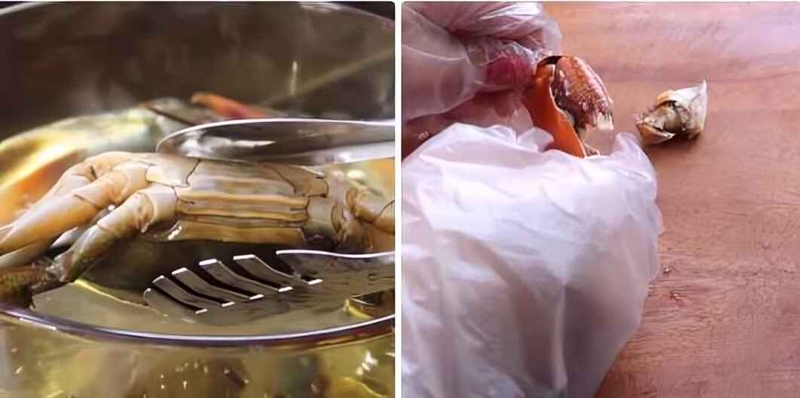 cua hấp chín, lấy thịt