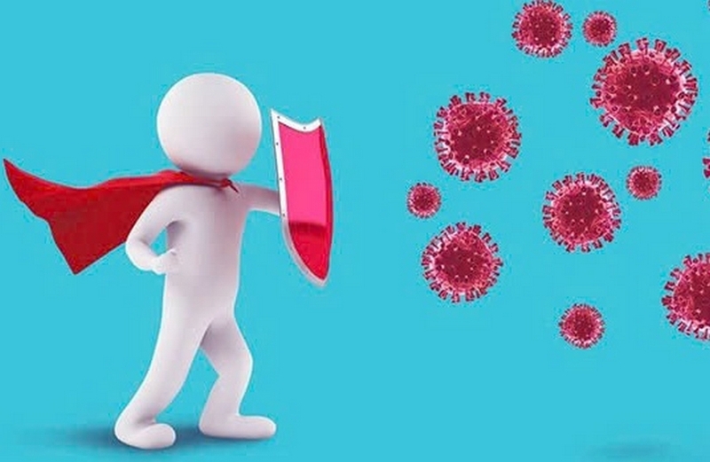 súp lơ san hô ảnh 2