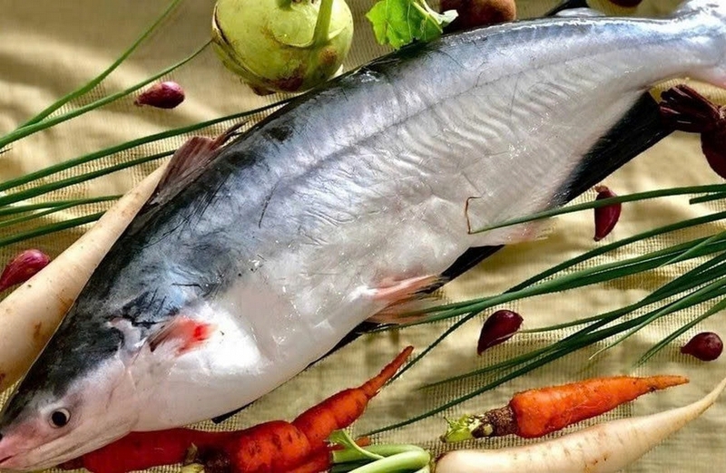 Tả pí lù cá hú ảnh 2