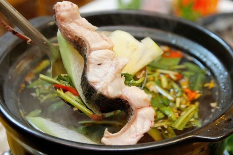 Tả pí lù cá hú ảnh 6