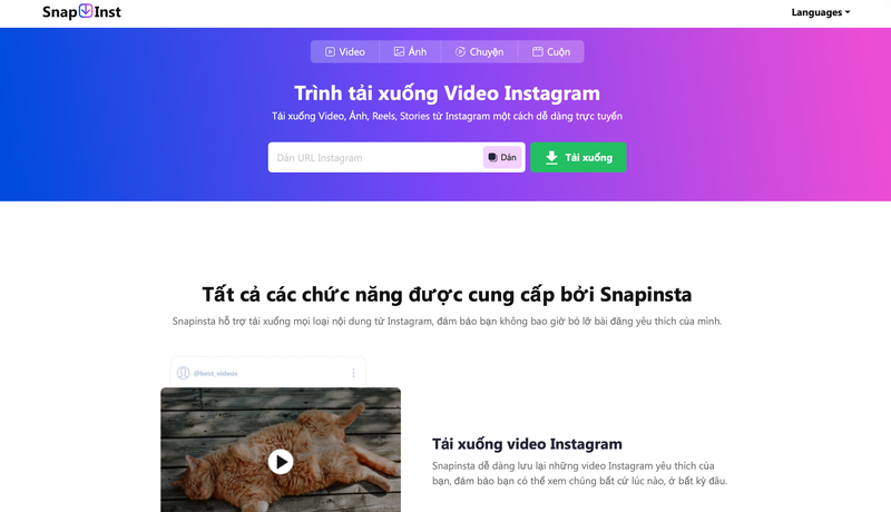 tải ảnh instagram riêng tư - Hình 2