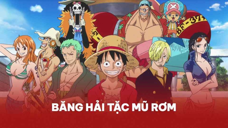 Giới thiệu ảnh Luffy cùng đồng đội