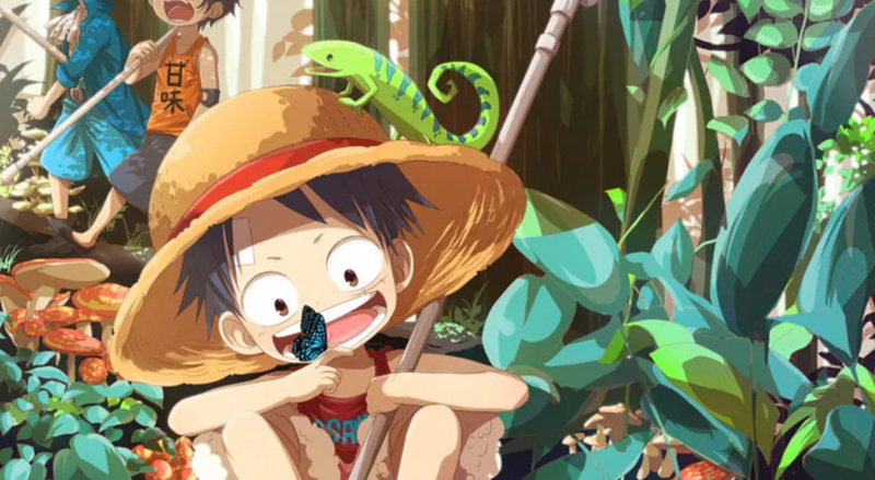Những câu chuyện về tuổi thơ của Luffy