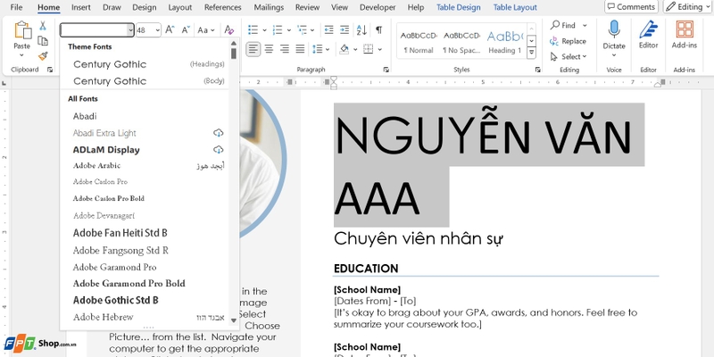 Tải mẫu CV xin việc đơn giản ảnh 3
