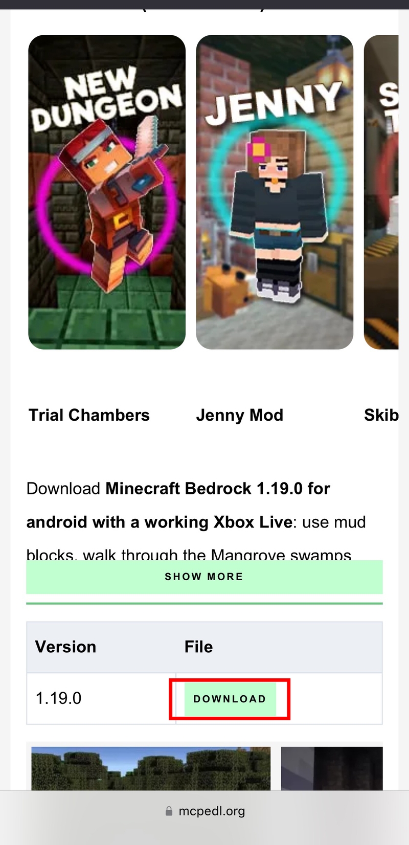 tải Minecraft 1.19 hình 7