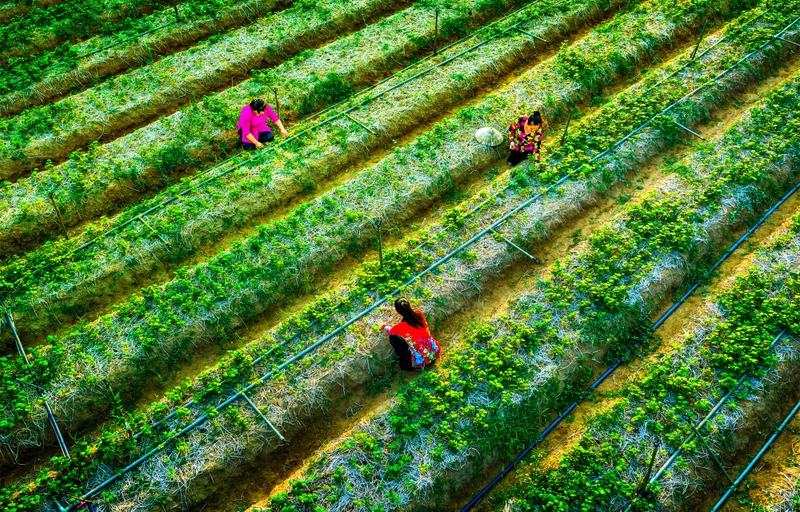 Tài nguyên thiên nhiên là gì 2