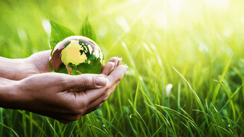 Tài nguyên thiên nhiên là gì 7