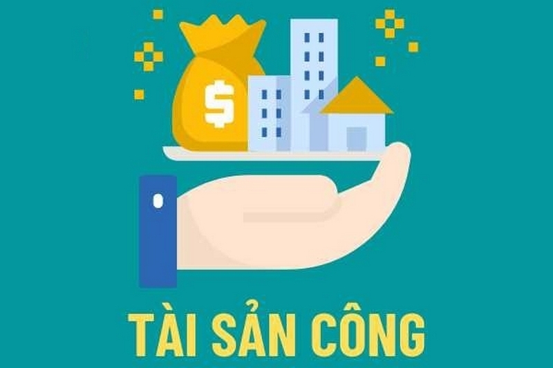 Tài sản công là gì ảnh 5