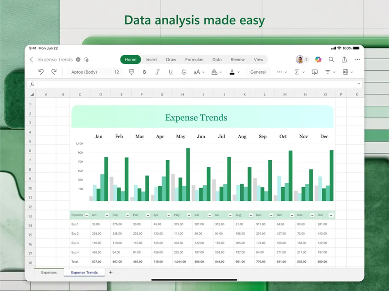 microsoft excel cho ipad