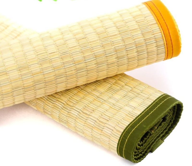 Tấm chiếu mới là gì 1