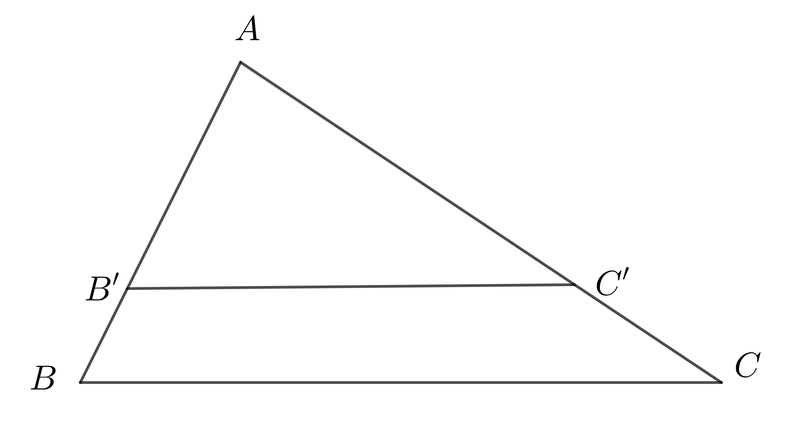 tam giác đồng dạng ảnh 10