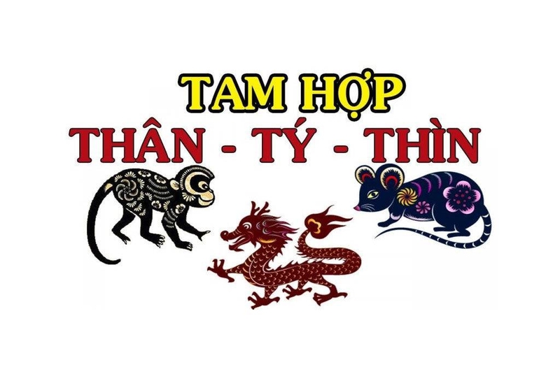 tam hợp tuổi thìn 3.jpeg