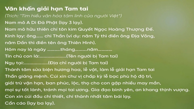 Tam tai ảnh 5