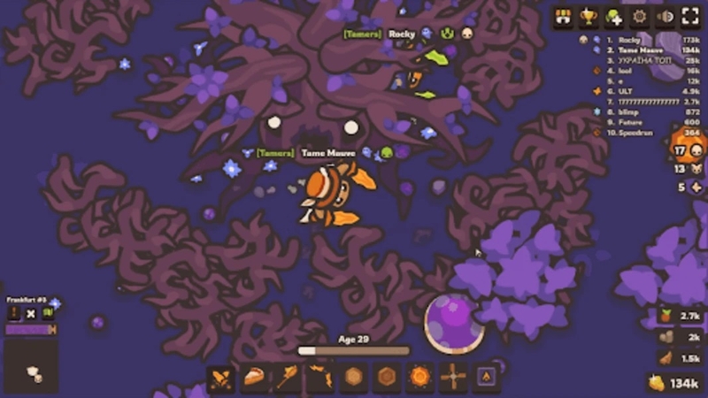 Taming .io 6