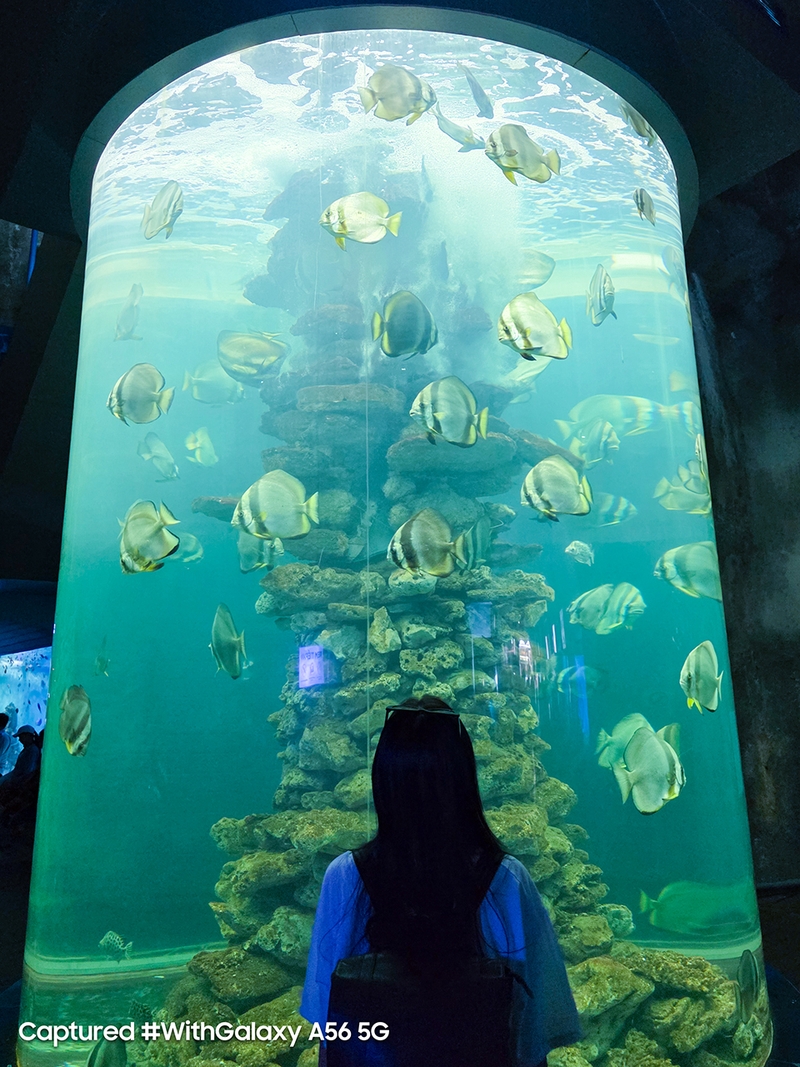 tan-huong-mua-he-cung-galaxy-a56-5g (8).jpg