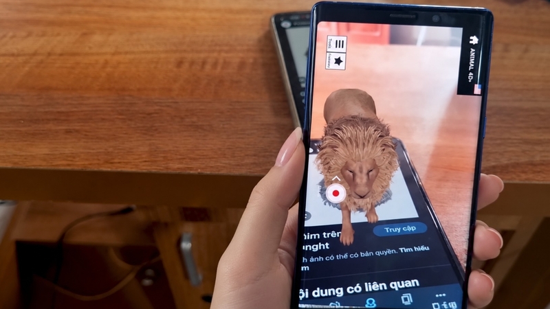Bước 3: Khám phá mô hình động vật