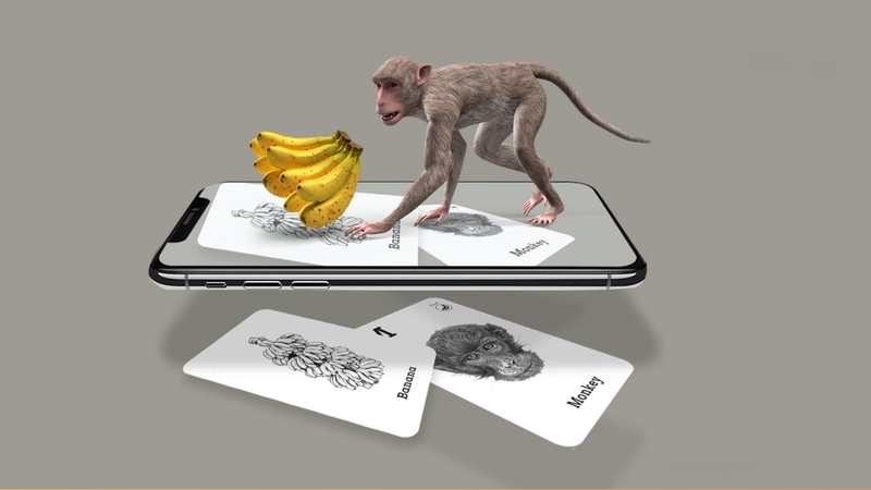 Một số lưu ý để hiển thị Animal 4D rõ hơn