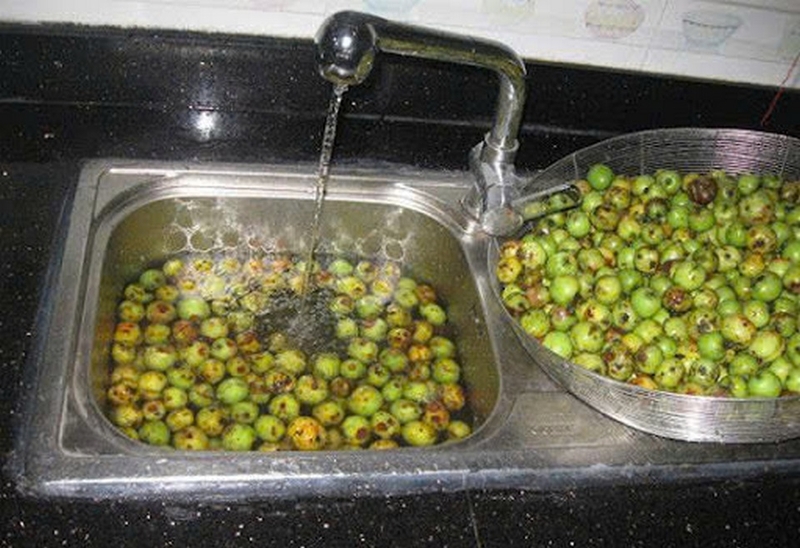 táo mèo muối xổi ảnh 4