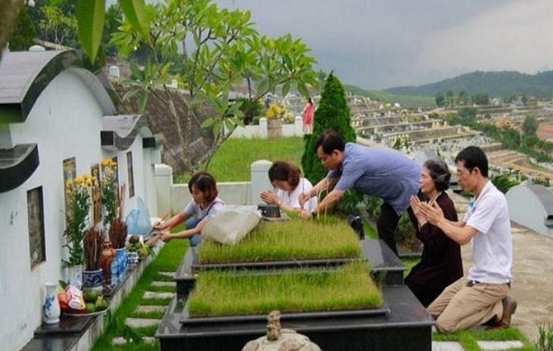 tảo mộ là gì ảnh 2