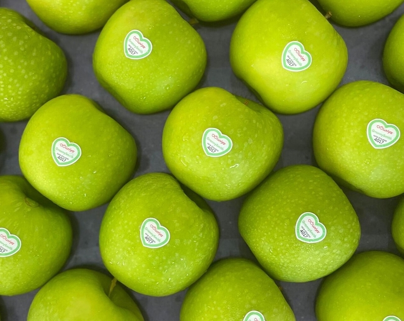 táo xanh Granny Smith 3