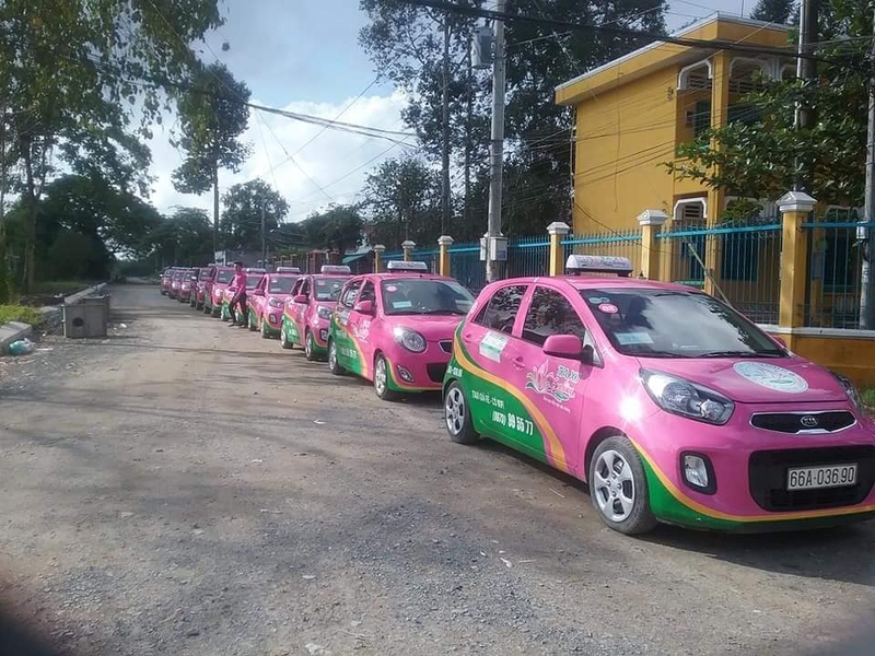 Taxi Sen Hồng (ảnh 1)