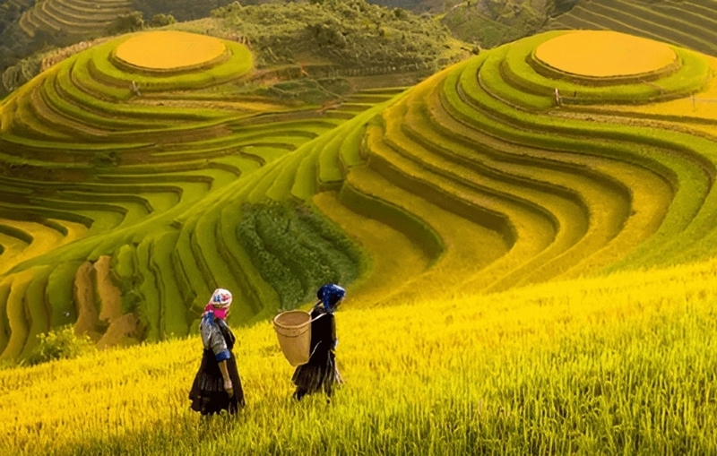 tây bắc gồm những tỉnh nào ảnh 5