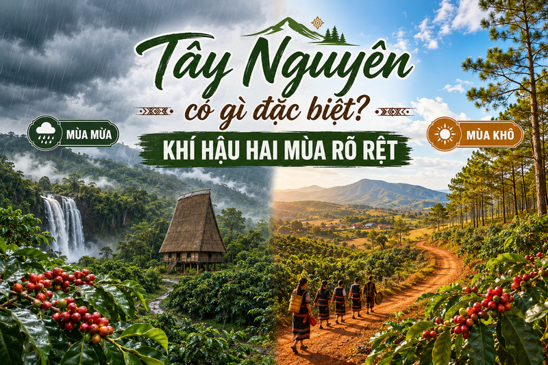 tây nguyên thuộc miền nào 5