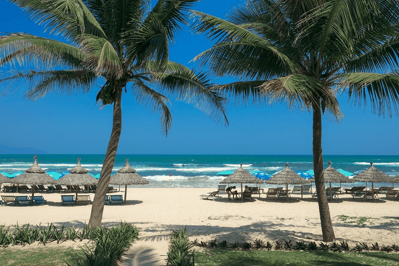 tết dương lịch 2026 đi đâu chơi my khe.png