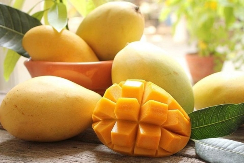 Xoài cát Hoà Lộc