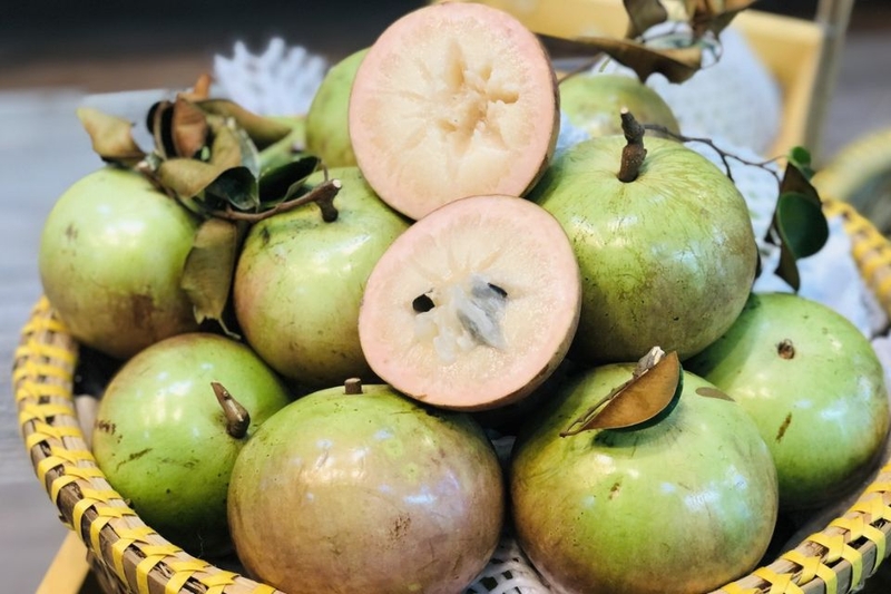 Vú sữa