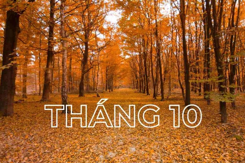 Tháng 10 là mùa gì?