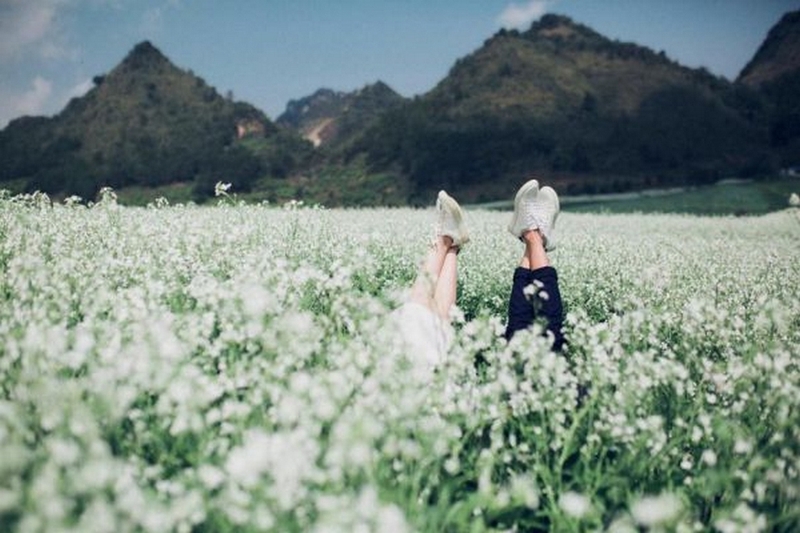 tháng 12 nên đi du lịch ở đâu ảnh 2
