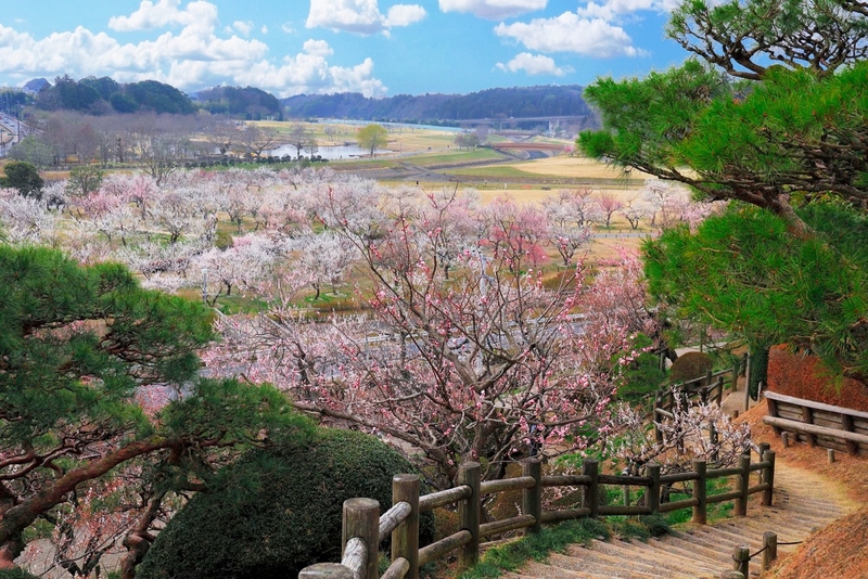 tháng 2 đi nước nào đẹp nhat.jpg