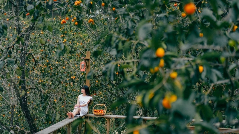 Tháng 9 Đà Lạt có gì 2