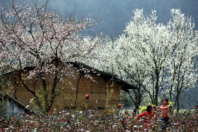 Tháng mấy lạnh 1