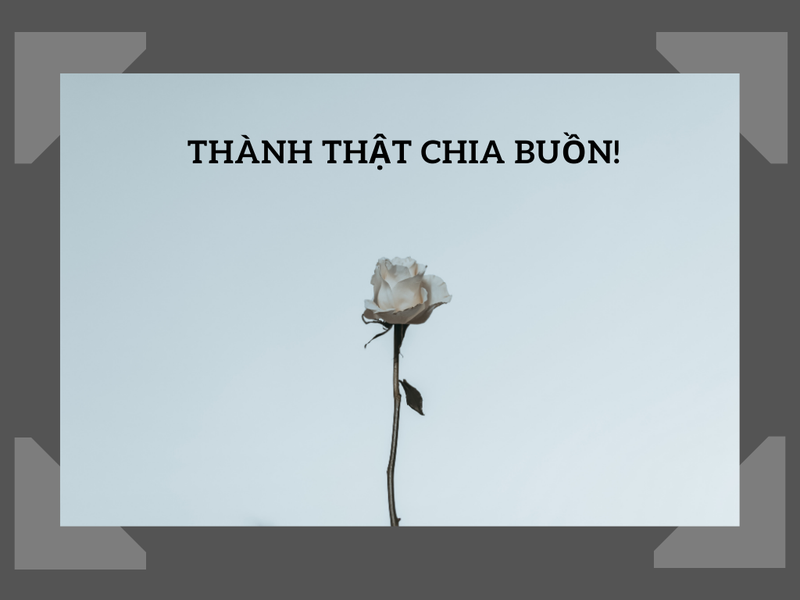 Những lưu ý khi sử dụng thành kính phân ưu