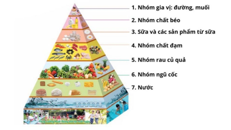 Định nghĩa tháp dinh dưỡng cho trẻ mầm non