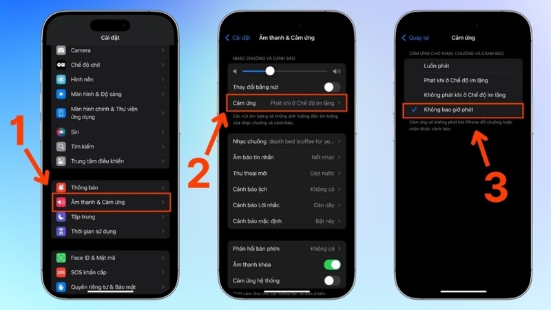 Thay đổi âm lượng và rung của iPhone - hình 2