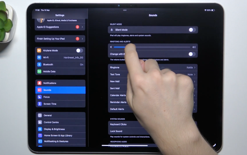 thay đổi hoặc tắt các âm thanh iPad - Hình 9