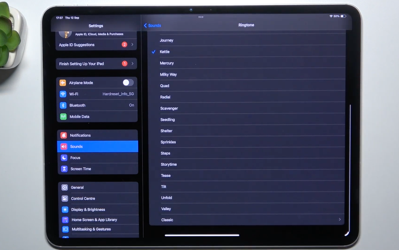 thay đổi hoặc tắt các âm thanh iPad - Hình 10