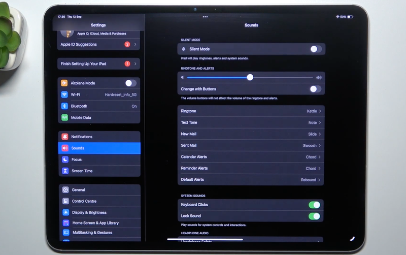 thay đổi hoặc tắt các âm thanh iPad - Hình 8