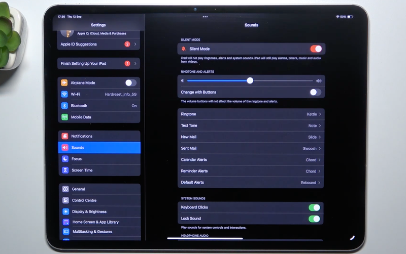 thay đổi hoặc tắt các âm thanh iPad - Hình 7
