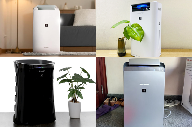 thay m&agrave;ng lọc m&aacute;y lọc kh&ocirc;ng kh&iacute; sharp​ (1)