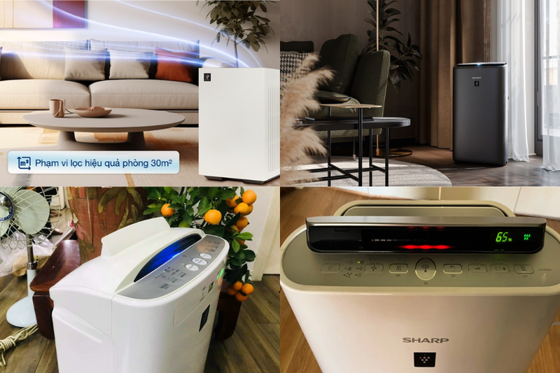 thay m&agrave;ng lọc m&aacute;y lọc kh&ocirc;ng kh&iacute; sharp​ (4)