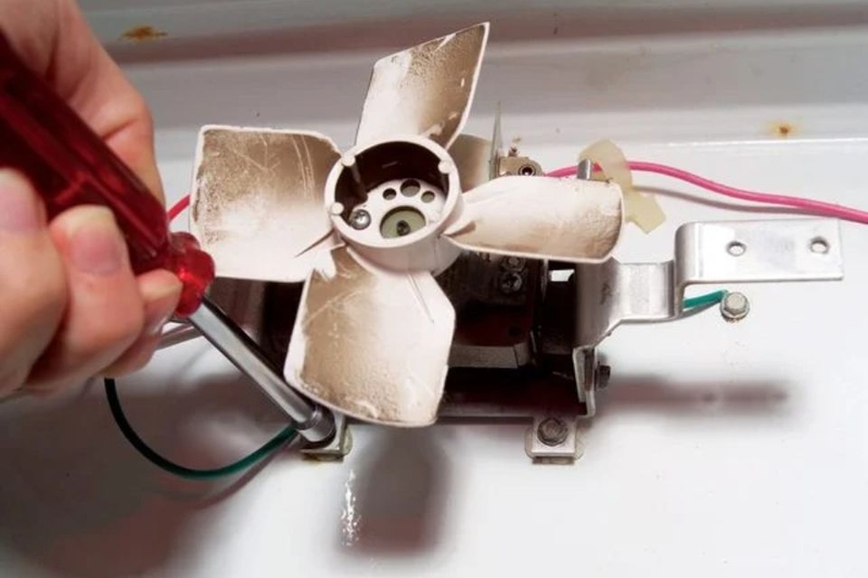 thay quạt tủ lạnh giá bao nhiêu (ảnh 3)