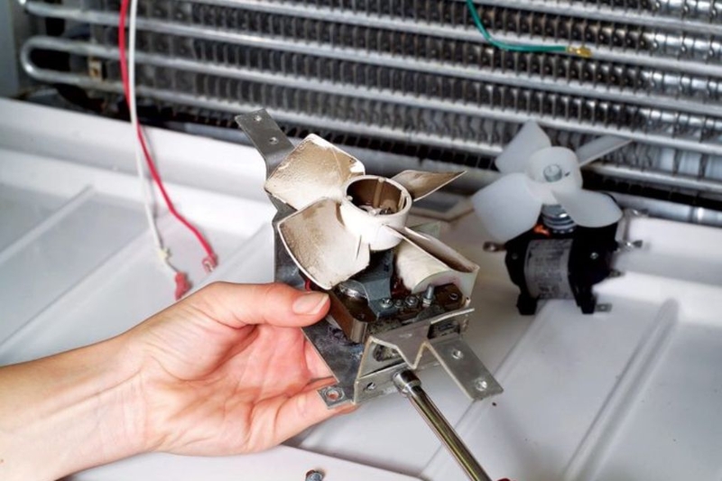 thay quạt tủ lạnh giá bao nhiêu (ảnh 4)