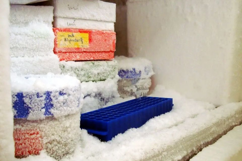 Thay thế cảm biến nhiệt của tủ lạnh - 03