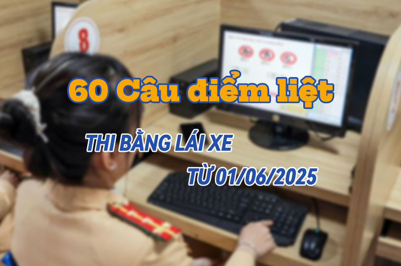 thi lý thuyết B1 ảnh 9