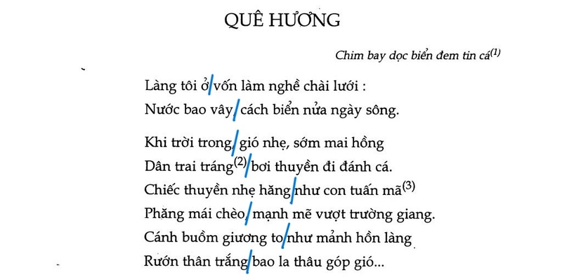 Nhịp điệu